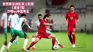 惠州2026世界杯观赛与美食攻略指南